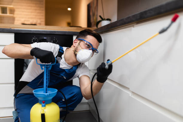 Best Cockroach Control Services  in Dollar Bay, MI