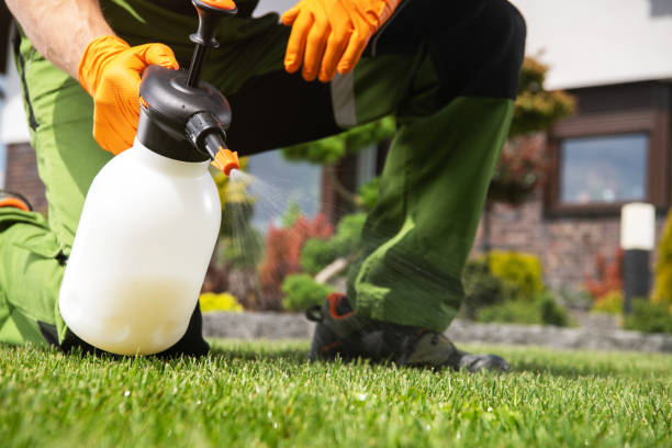 Best Best Pest Control Companies  in Dollar Bay, MI