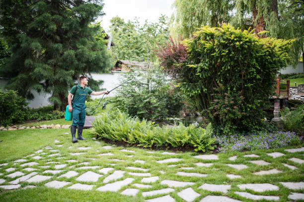 Best Local Pest Control Services  in Dollar Bay, MI