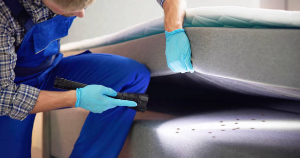 Best Rat Extermination Near Me  in Dollar Bay, MI