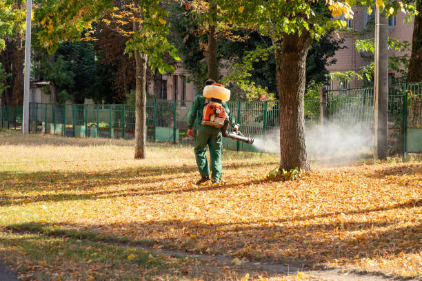 Best Bed Bug Extermination  in Dollar Bay, MI
