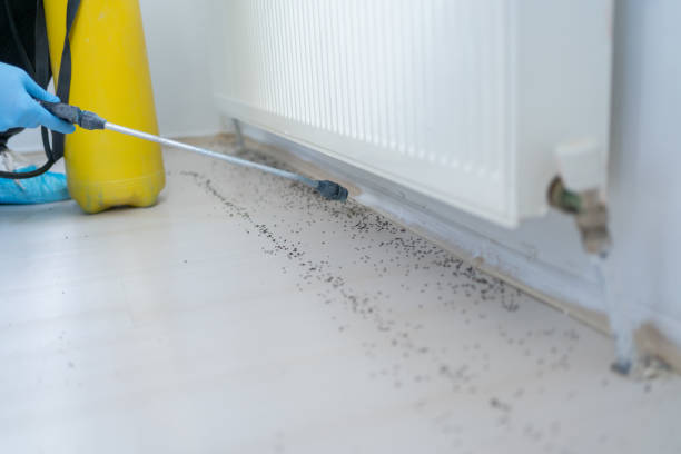 Best Exterminator Services  in Dollar Bay, MI